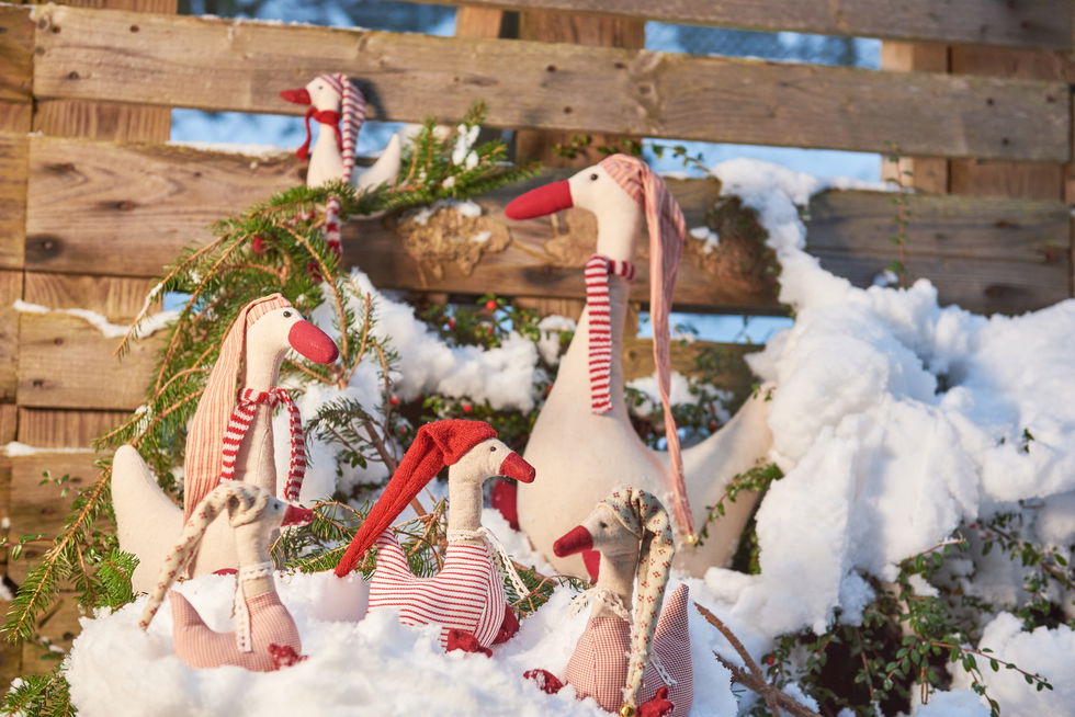 Speedtsberg - Gytha med tørklæde -  Rød - Mønster/stribet