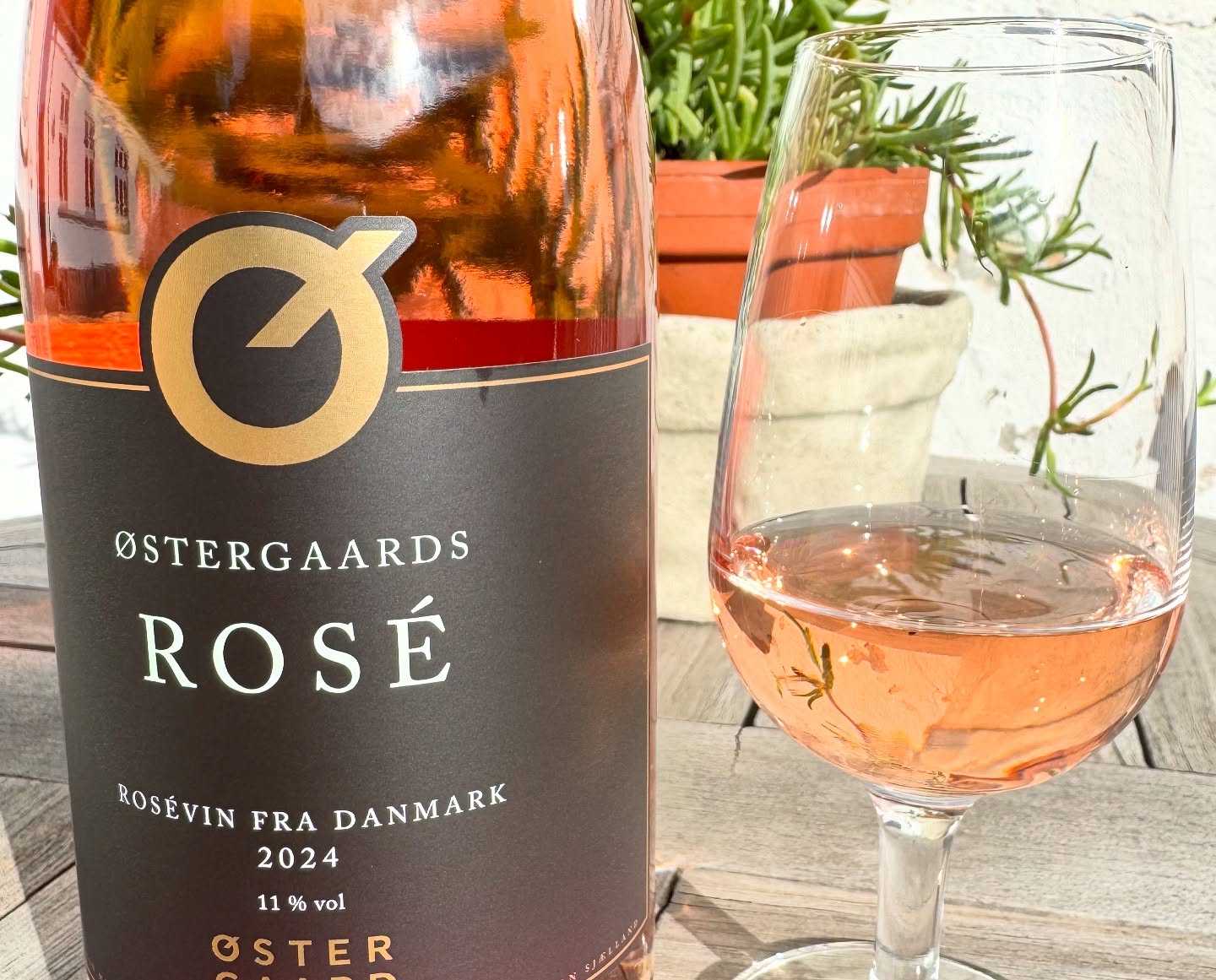 Østergaard - Rosé